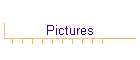 Pictures